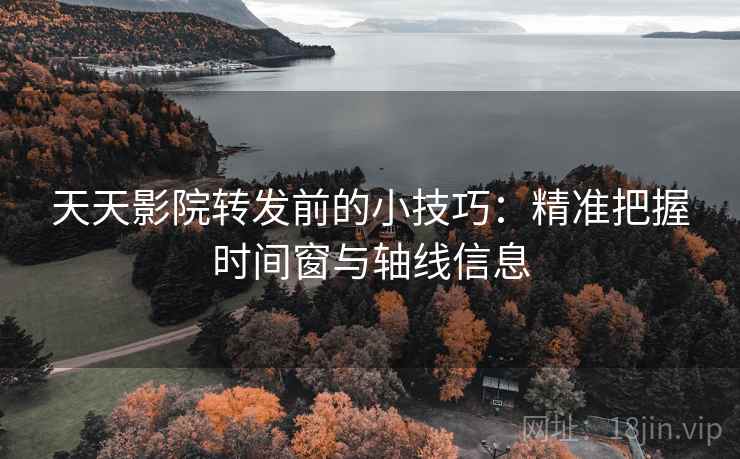 天天影院转发前的小技巧：精准把握时间窗与轴线信息