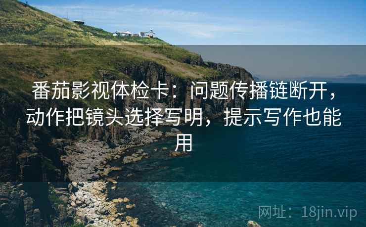 番茄影视体检卡：问题传播链断开，动作把镜头选择写明，提示写作也能用