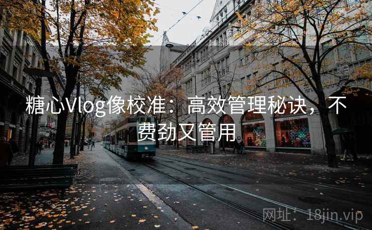 糖心Vlog像校准：高效管理秘诀，不费劲又管用