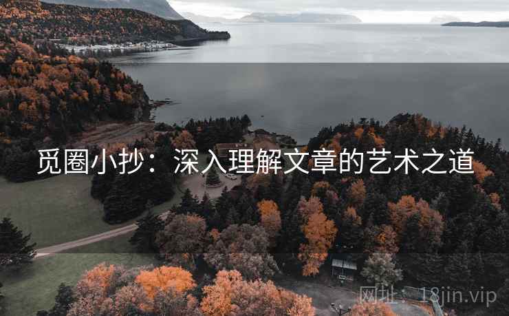 觅圈小抄：深入理解文章的艺术之道