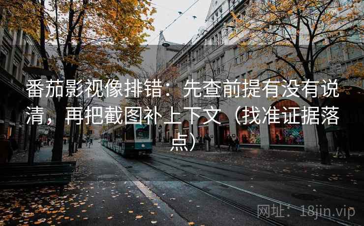 番茄影视像排错：先查前提有没有说清，再把截图补上下文（找准证据落点）