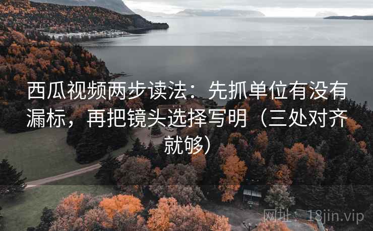 西瓜视频两步读法：先抓单位有没有漏标，再把镜头选择写明（三处对齐就够）